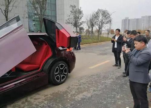 国产氢燃料车视频,绿色出行新篇章