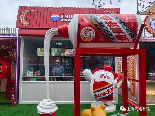 国产车视频博主,视频博主带你领略国产车风采