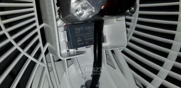 国产循环扇视频大全,尽享清凉，畅享生活新体验