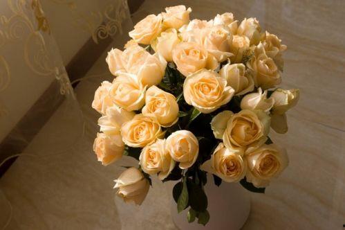 香槟色国产玫瑰视频,绽放的浪漫与时尚  第2张